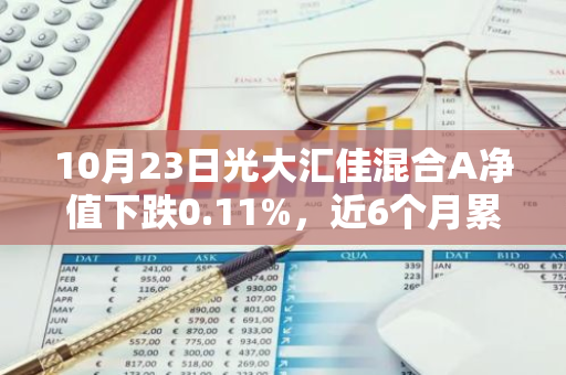 10月23日光大汇佳混合A净值下跌0.11%，近6个月累计上涨6.15%