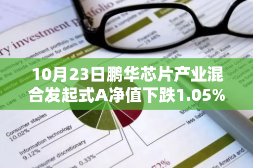 10月23日鹏华芯片产业混合发起式A净值下跌1.05%，今年来累计上涨16.03%