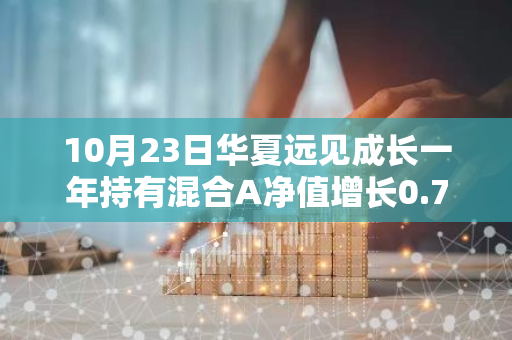 10月23日华夏远见成长一年持有混合A净值增长0.76%，近1个月累计上涨40.84%