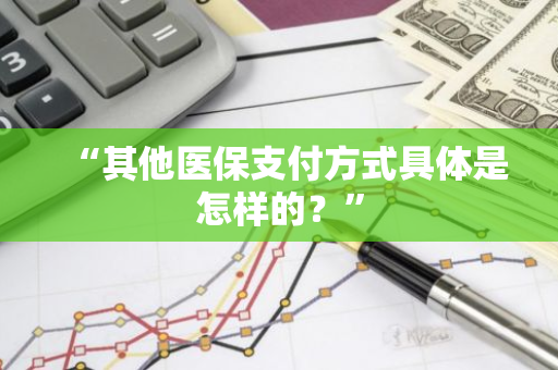 “其他医保支付方式具体是怎样的？”