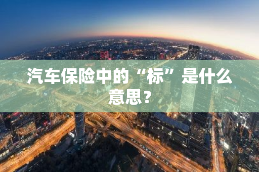 汽车保险中的“标”是什么意思？