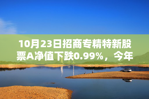 10月23日招商专精特新股票A净值下跌0.99%，今年来累计下跌5.11%