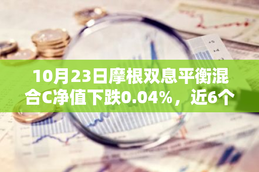 10月23日摩根双息平衡混合C净值下跌0.04%，近6个月累计下跌0.86%