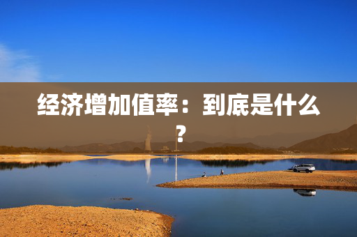 经济增加值率：到底是什么？