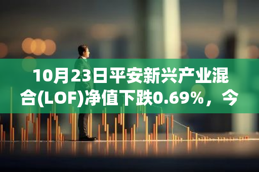 10月23日平安新兴产业混合(LOF)净值下跌0.69%，今年来累计下跌0.97%