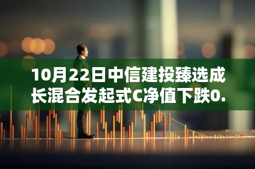 10月22日中信建投臻选成长混合发起式C净值下跌0.68%，今年来累计上涨9.93%