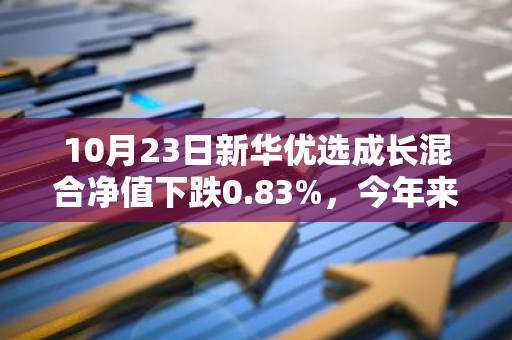 10月23日新华优选成长混合净值下跌0.83%，今年来累计上涨10.4%