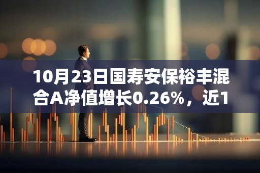 10月23日国寿安保裕丰混合A净值增长0.26%，近1个月累计上涨6.33%