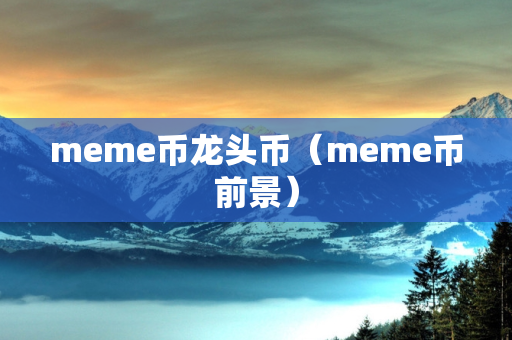 meme币龙头币（meme币前景）