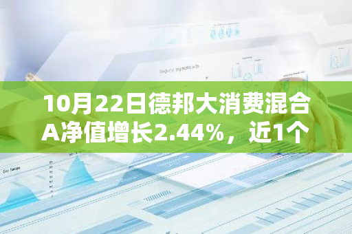 10月22日德邦大消费混合A净值增长2.44%，近1个月累计上涨24.61%