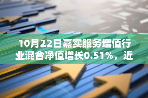 10月22日嘉实服务增值行业混合净值增长0.51%，近1个月累计上涨17.64%