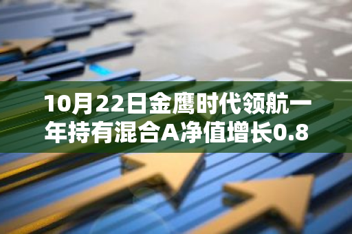 10月22日金鹰时代领航一年持有混合A净值增长0.89%，近1个月累计上涨25.12%