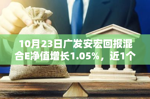 10月23日广发安宏回报混合E净值增长1.05%，近1个月累计上涨18.82%