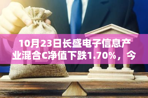 10月23日长盛电子信息产业混合C净值下跌1.70%，今年来累计下跌1.52%