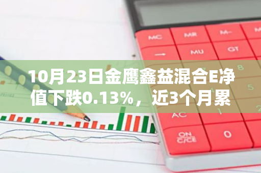 10月23日金鹰鑫益混合E净值下跌0.13%，近3个月累计上涨0.59%