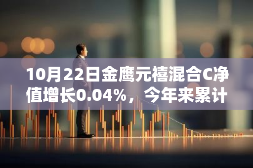 10月22日金鹰元禧混合C净值增长0.04%，今年来累计上涨2.26%