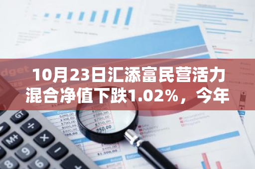 10月23日汇添富民营活力混合净值下跌1.02%，今年来累计上涨6.13%