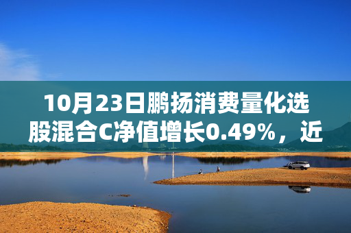 10月23日鹏扬消费量化选股混合C净值增长0.49%，近1个月累计上涨20.57%