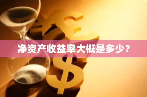 净资产收益率大概是多少？