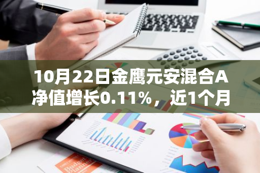 10月22日金鹰元安混合A净值增长0.11%，近1个月累计上涨3.21%