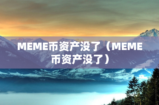 MEME币资产没了（MEME币资产没了）