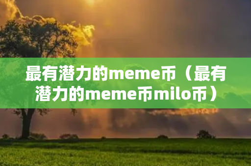 最有潜力的meme币（最有潜力的meme币milo币）