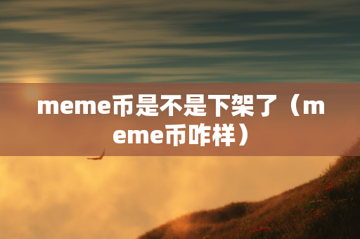 meme币是不是下架了（meme币咋样）