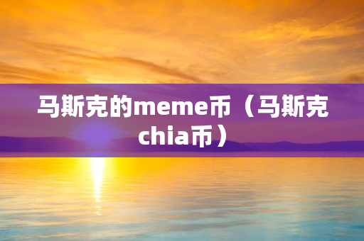 马斯克的meme币（马斯克chia币）