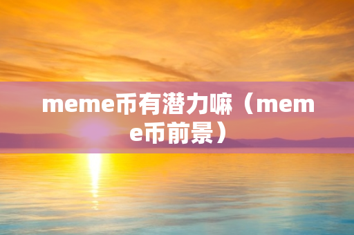 meme币有潜力嘛（meme币前景）