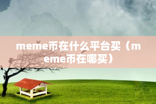 meme币在什么平台买（meme币在哪买）