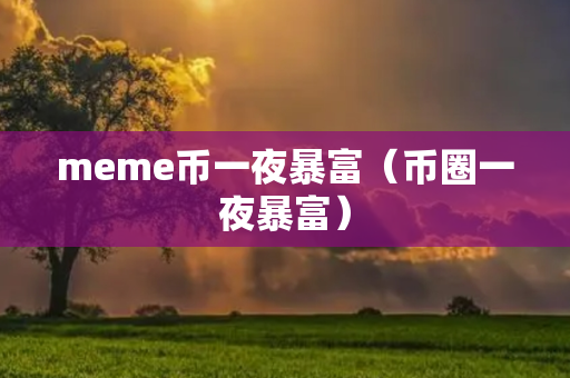 meme币一夜暴富（币圈一夜暴富）