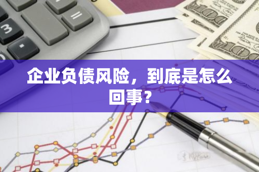 企业负债风险，到底是怎么回事？