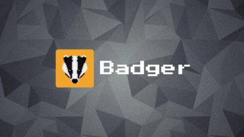 什么是Badger DAO币