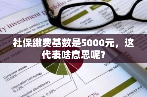 社保缴费基数是5000元，这代表啥意思呢？