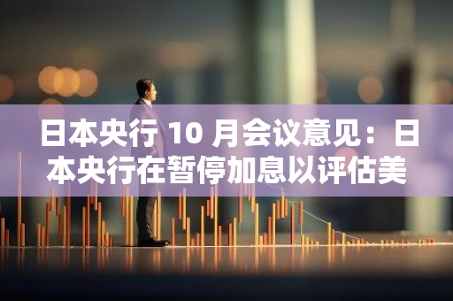 日本央行 10 月会议意见：日本央行在暂停加息以评估美国经济发展后，可以考虑进一步加息