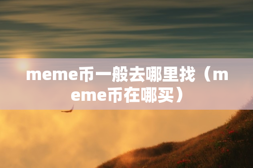 meme币一般去哪里找（meme币在哪买）