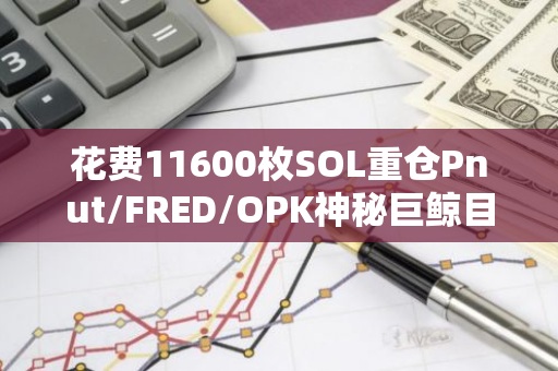 花费11600枚SOL重仓Pnut/FRED/OPK神秘巨鲸目前已浮亏116.8万美元