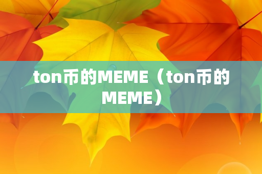 ton币的MEME（ton币的MEME）