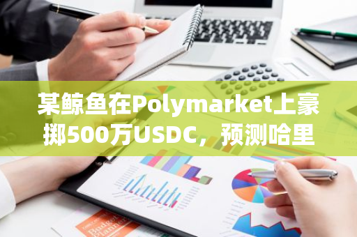 某鲸鱼在Polymarket上豪掷500万USDC，预测哈里斯胜选：过去11小时的惊人押注行为