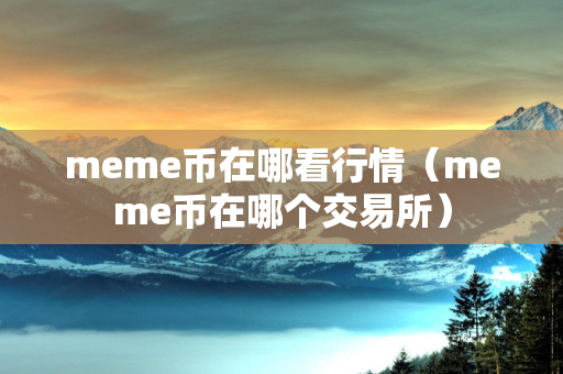 meme币在哪看行情（meme币在哪个交易所）