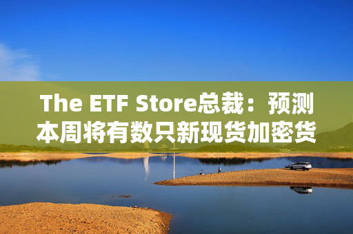 The ETF Store总裁：预测本周将有数只新现货加密货币ETF申请