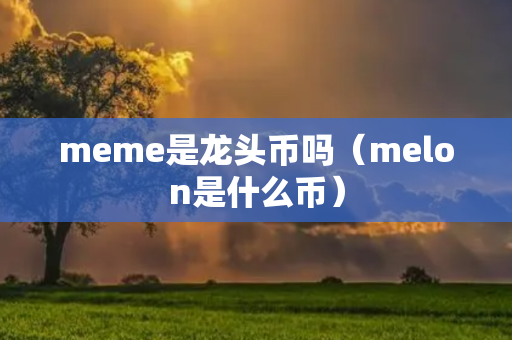 meme是龙头币吗（melon是什么币）