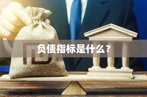 负债指标是什么？