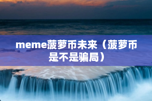 meme菠萝币未来（菠萝币是不是骗局）