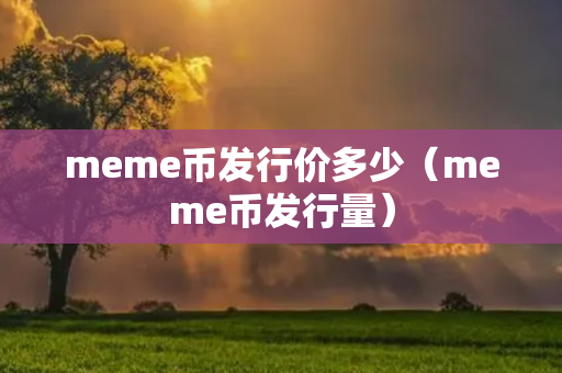 meme币发行价多少（meme币发行量）