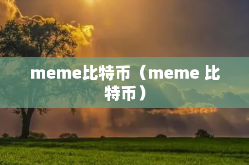 meme比特币（meme 比特币）