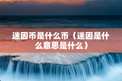 迷因币是什么币（迷因是什么意思是什么）