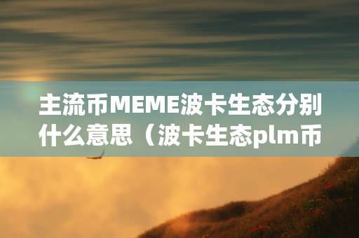 主流币MEME波卡生态分别什么意思（波卡生态plm币的价格）