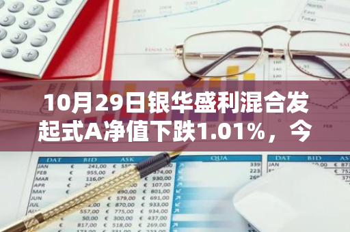 10月29日银华盛利混合发起式A净值下跌1.01%，今年来累计上涨5.31%