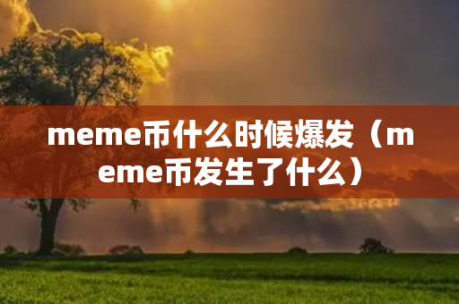 meme币什么时候爆发（meme币发生了什么）